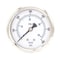 Pic Gauges 2 1/2 in Dial, 1/4 in NPT Male Center Back Location, Stainless Steel Case Material PRO-302D-254K-01 - alternate 1